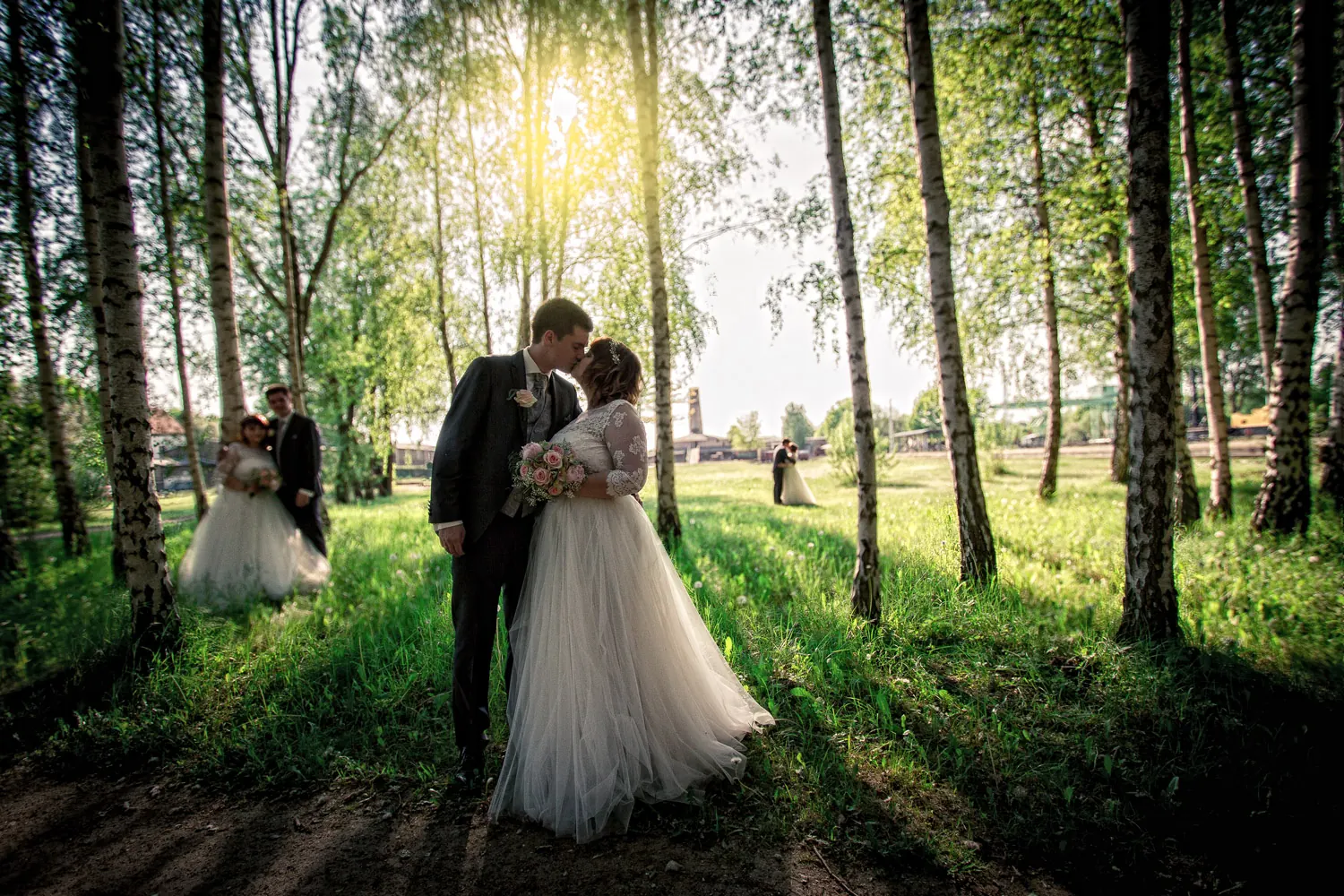 Brautpaar im Birkenwald im Abendlicht